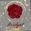 Bridget Wedding Planner