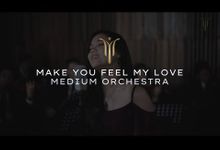 Make You Feel My Love - Adele (Orchestra Ver.) by Dario Music