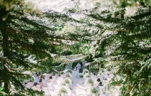 Dreamy Forest Wedding by Vidlens