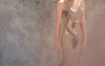 Phoenix  by Cinobi