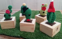 Cute Cactus With Wooden Pot by Segi Frames