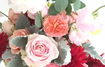 Floral Journal  by D'Alexandra Flowers