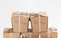 Wedding Plant Souvenir - Succulent in Terracotta Pot by Kopi dan Tanaman