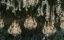 Tom & Astari by Casablanca Design