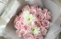 Soft Pinkish  by Levian Florisen