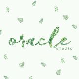 Oracle Studio