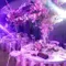Enchanted Forest by 7 Sky Event Agency