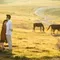 The Beauty of Sumba - Hutomo & Stephanie by Ivan by Axioo