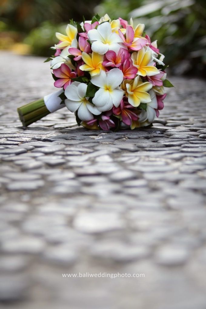 300 rise of baliweddingphoto by D'studio Photography Bali - 002 300 rise of baliweddingphoto by D'studio Photography Bali - 002