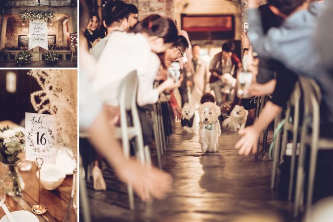 Pineo & Rachel Outdoor Casual Wedding Party at Ubud Bali by GoFotoVideo - 006 Pineo & Rachel Outdoor Casual Wedding Party at Ubud Bali by GoFotoVideo - 006