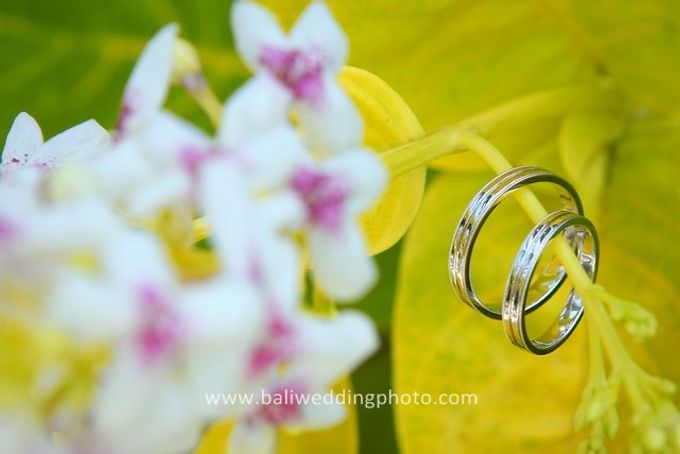 300 rise of baliweddingphoto by D'studio Photography Bali - 097 300 rise of baliweddingphoto by D'studio Photography Bali - 097