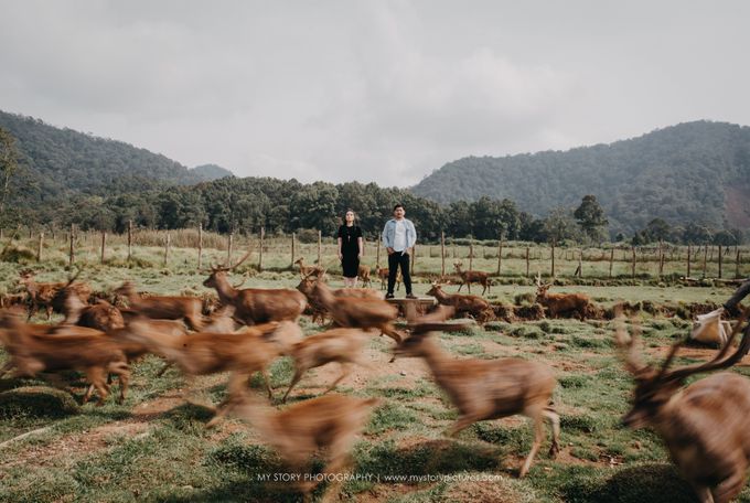 Pre-wedd Benny Ivone by My Story Photography & Video - 005 Pre-wedd Benny Ivone by My Story Photography & Video - 005