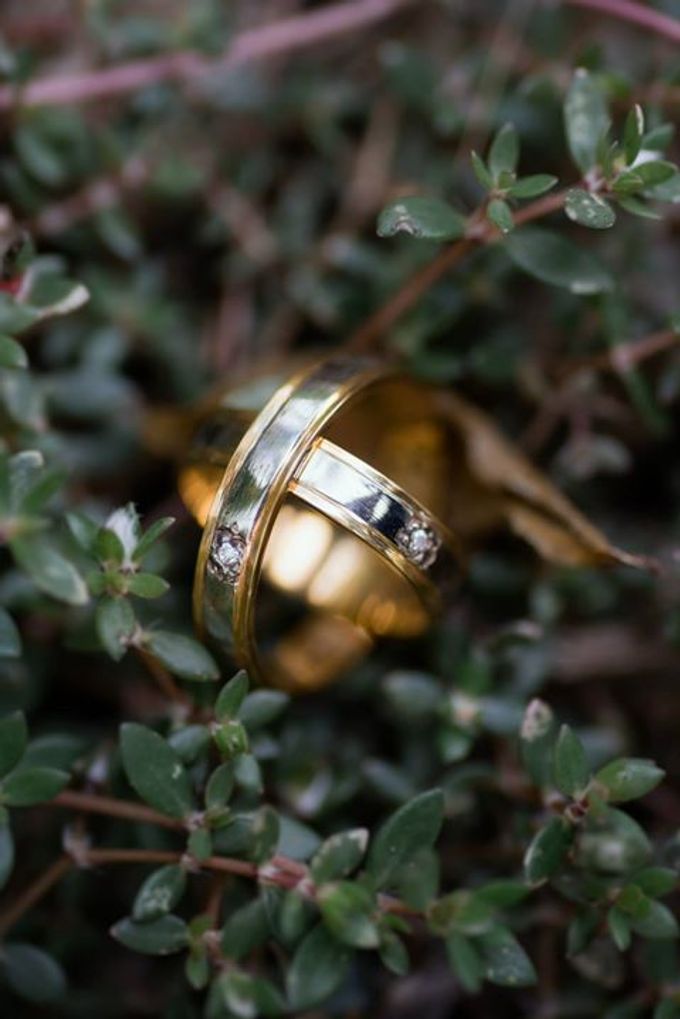 Wedding Rings by Peach Frost Studio - 001