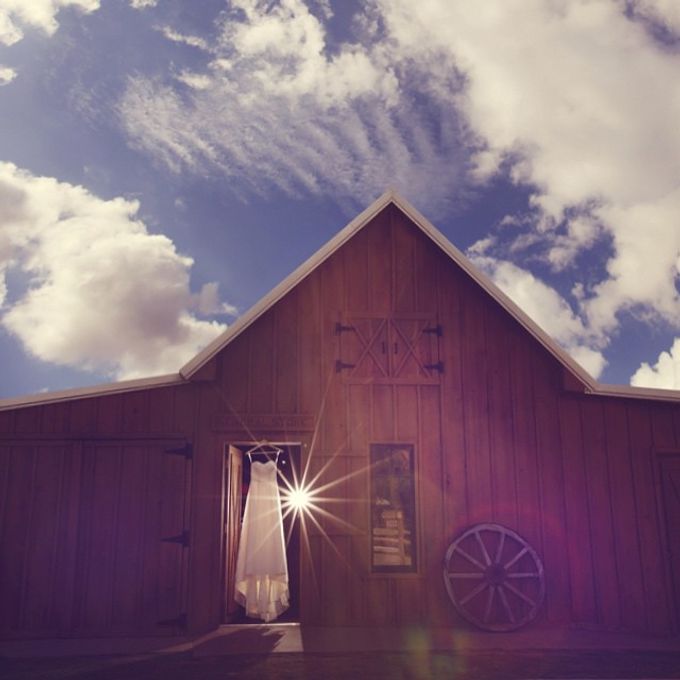 Wedding Photography by Plum Pretty Weddings - 014 Wedding Photography by Plum Pretty Weddings - 014