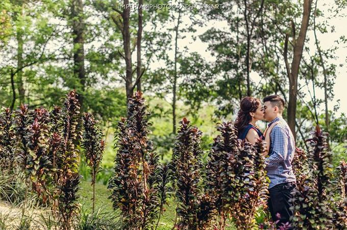 Natures Lover by Imperial Photography Jakarta - 025 Natures Lover by Imperial Photography Jakarta - 025