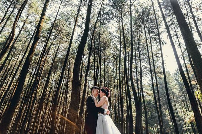 Natures Lover by Imperial Photography Jakarta - 002 Natures Lover by Imperial Photography Jakarta - 002