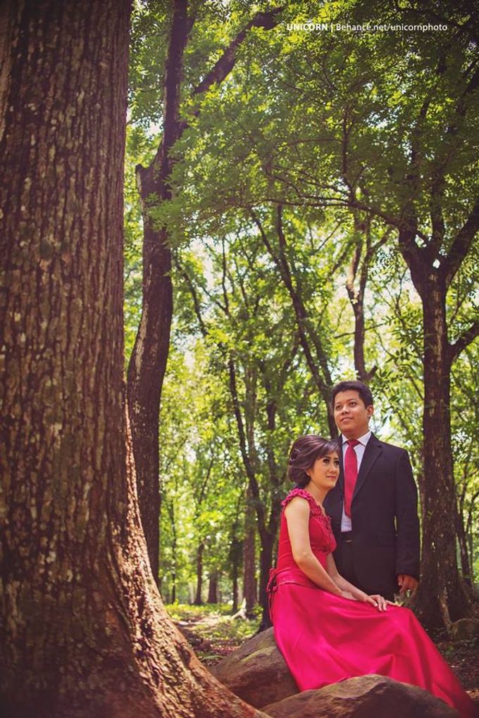 Green Forrest by UNICORN photography - 003 Green Forrest by UNICORN photography - 003