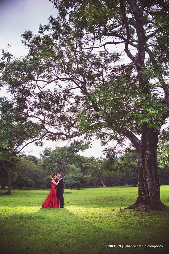 Green Forrest by UNICORN photography - 004 Green Forrest by UNICORN photography - 004