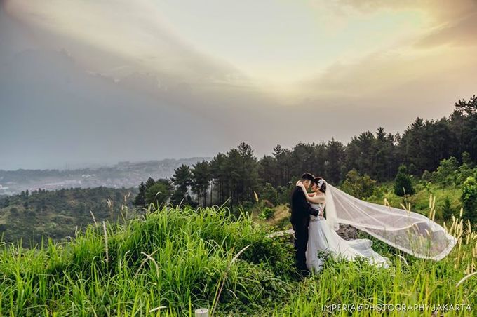 Natures Lover by Imperial Photography Jakarta - 031 Natures Lover by Imperial Photography Jakarta - 031