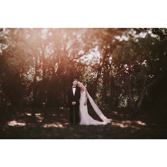 Best of Wedding Photos 2015 (Part 2) by People Truelove Tellers - 041 Best of Wedding Photos 2015 (Part 2) by People Truelove Tellers - 041