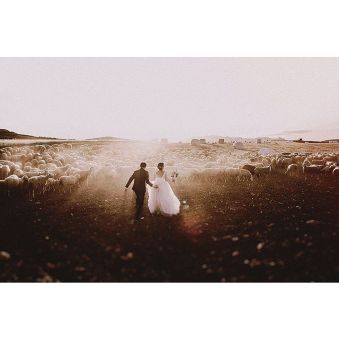 Best of Wedding Photos 2015 (Part 2) by People Truelove Tellers - 042 Best of Wedding Photos 2015 (Part 2) by People Truelove Tellers - 042