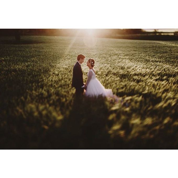 Best of Wedding Photos 2015 (Part 2) by People Truelove Tellers - 034 Best of Wedding Photos 2015 (Part 2) by People Truelove Tellers - 034