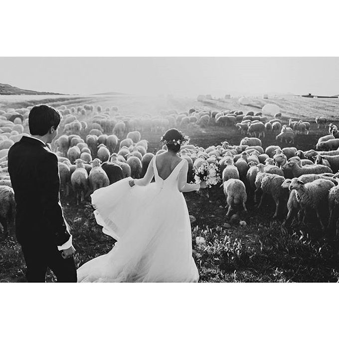 Best of Wedding Photos 2015 (Part 2) by People Truelove Tellers - 024 Best of Wedding Photos 2015 (Part 2) by People Truelove Tellers - 024
