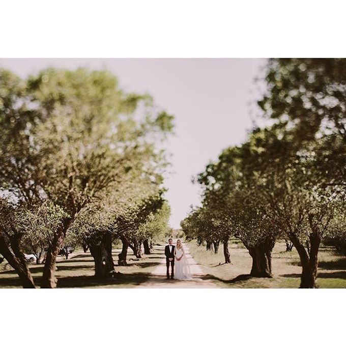 Best of Wedding Photos 2015 (Part 2) by People Truelove Tellers - 036 Best of Wedding Photos 2015 (Part 2) by People Truelove Tellers - 036
