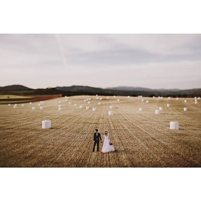 Best of Wedding Photos 2015 (Part 2) by People Truelove Tellers - 023