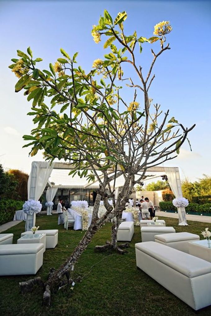 White wedding by YIW Photography - 001