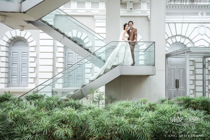 Elegance by Cang Ai Wedding - 006 Elegance by Cang Ai Wedding - 006