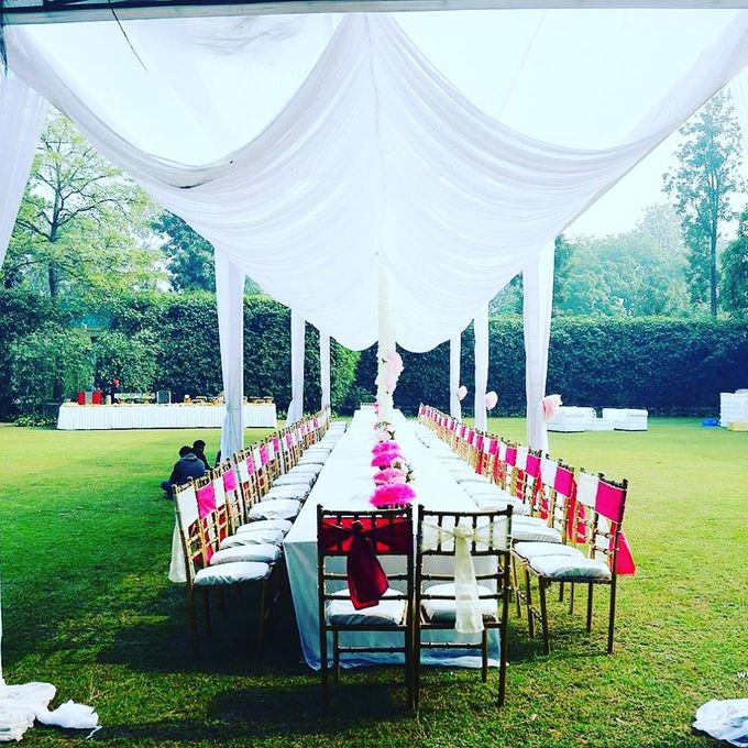 Reception by malika - 009 Reception by malika - 009