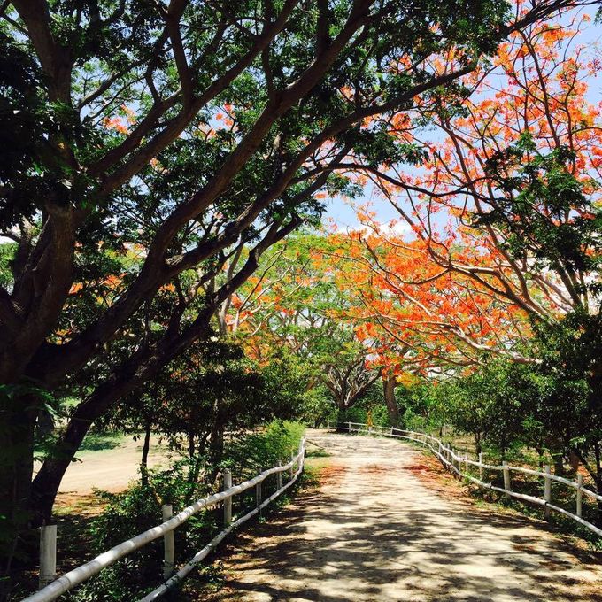 Road to Forever by Stilts Calatagan Beach Resort - 002