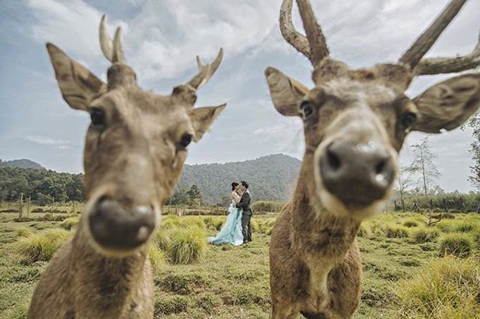 Best Of Prewedding by Hendra & Andre by Cheese N Click Photography - 040 Best Of Prewedding by Hendra & Andre by Cheese N Click Photography - 040