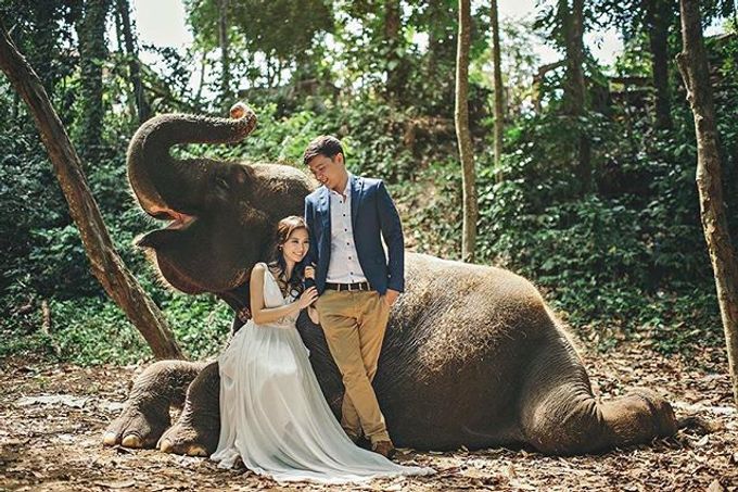 Best Of Prewedding by Hendra & Andre by Cheese N Click Photography - 024 Best Of Prewedding by Hendra & Andre by Cheese N Click Photography - 024