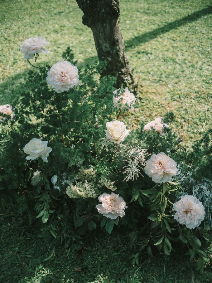 Pernikahan dengan tema ramah lingkungan, dengan keluarga dan teman dekat ditambah dengan dekorasi yang selaras dengan alam membuat pernikahan ini spec by AVAVI BALI WEDDINGS - 034 Pernikahan dengan tema ramah lingkungan, dengan keluarga dan teman dekat ditambah dengan dekorasi yang selaras dengan alam membuat pernikahan ini spec by AVAVI BALI WEDDINGS - 034