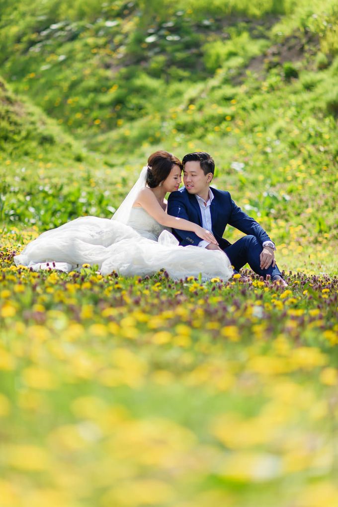 Full Bloom Hokkaido Sakura in Spring-Prewedding Overseas by John15 Photography - 012 Full Bloom Hokkaido Sakura in Spring-Prewedding Overseas by John15 Photography - 012