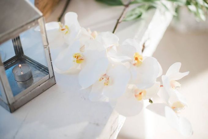 White and Gold Wedding at Plenilunio by Flora Botanica Designs - 007 White and Gold Wedding at Plenilunio by Flora Botanica Designs - 007
