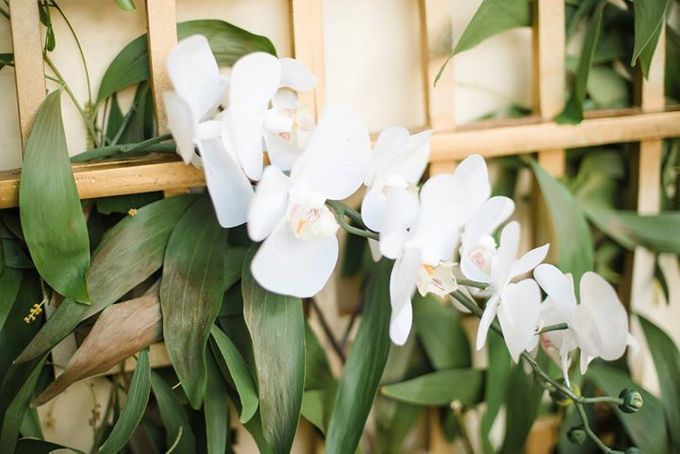 White and Gold Wedding at Plenilunio by Flora Botanica Designs - 003 White and Gold Wedding at Plenilunio by Flora Botanica Designs - 003