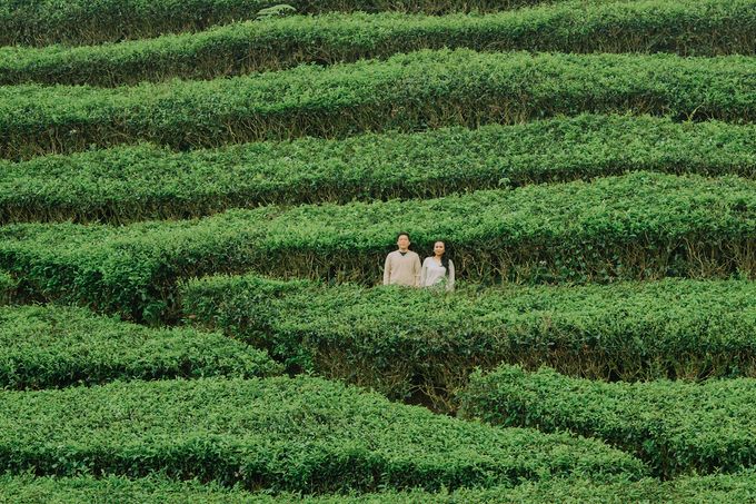 Prewedding at Kebun Teh, Bandung by KAMALA WEDDINGS - 004 Prewedding at Kebun Teh, Bandung by KAMALA WEDDINGS - 004