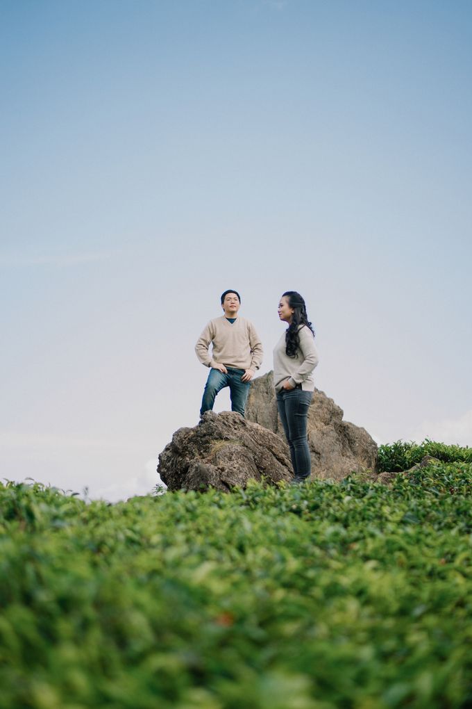 Prewedding at Kebun Teh, Bandung by KAMALA WEDDINGS - 005 Prewedding at Kebun Teh, Bandung by KAMALA WEDDINGS - 005