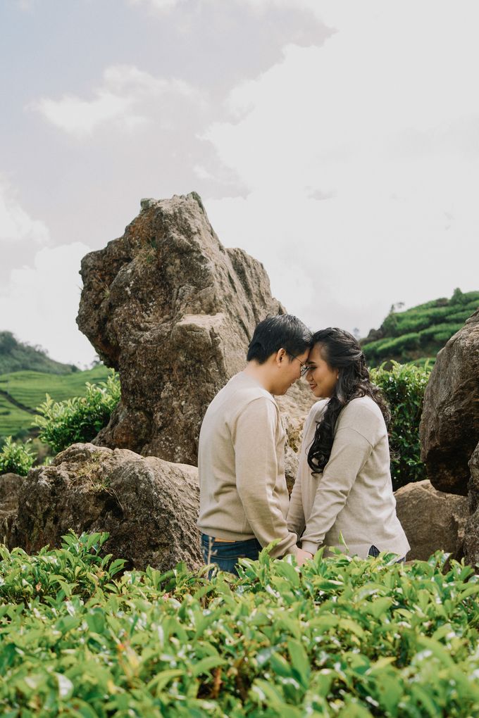 Prewedding at Kebun Teh, Bandung by KAMALA WEDDINGS - 003 Prewedding at Kebun Teh, Bandung by KAMALA WEDDINGS - 003