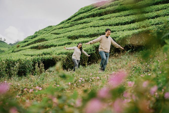 Prewedding at Kebun Teh, Bandung by KAMALA WEDDINGS - 002 Prewedding at Kebun Teh, Bandung by KAMALA WEDDINGS - 002