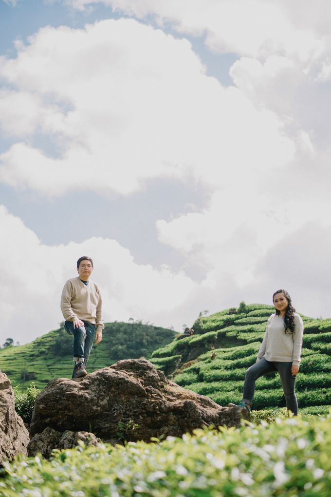 Prewedding at Kebun Teh, Bandung by KAMALA WEDDINGS - 006 Prewedding at Kebun Teh, Bandung by KAMALA WEDDINGS - 006