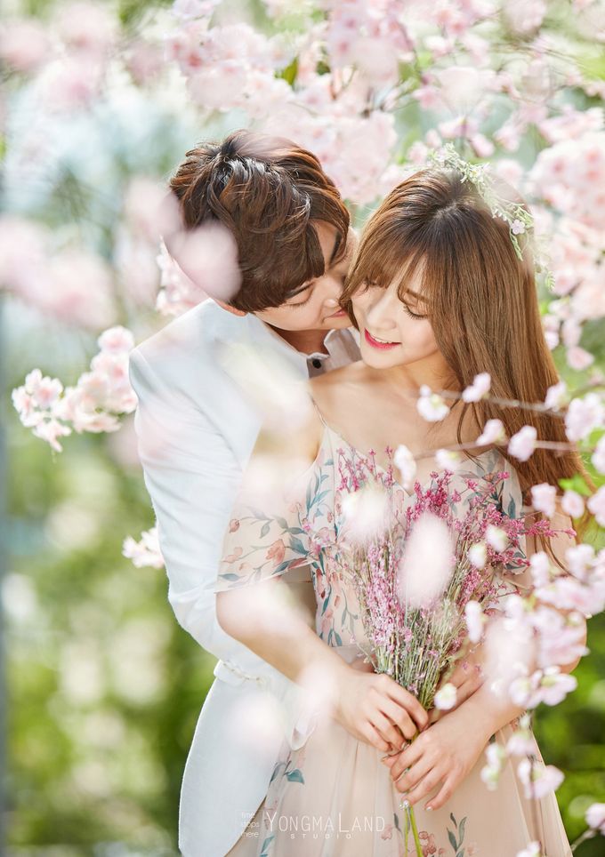 Korea Pre-Wedding Photoshoot - Studio 29 by Willcy Wedding by Willcy Wedding - Korea Pre Wedding - 010 Korea Pre-Wedding Photoshoot - Studio 29 by Willcy Wedding by Willcy Wedding - Korea Pre Wedding - 010