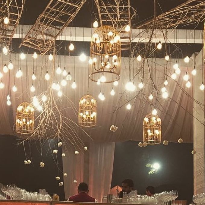 Reception by malika - 006 Reception by malika - 006