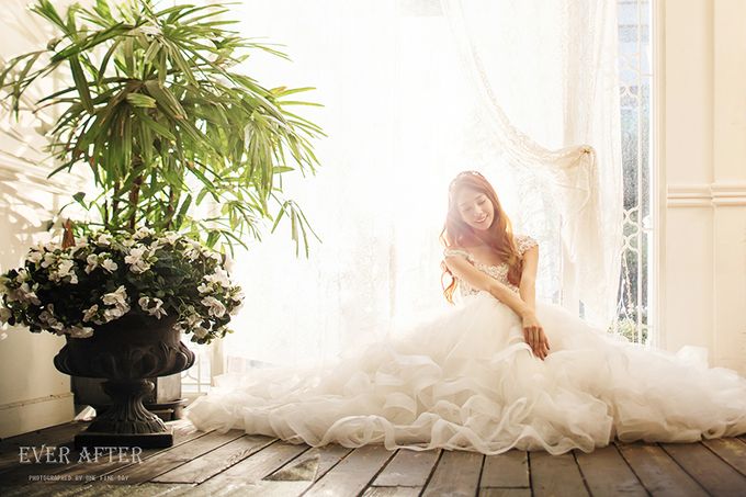 Korea Pre-Wedding Photoshoot - Studio 20 by Willcy Wedding by Willcy Wedding - Korea Pre Wedding - 013 Korea Pre-Wedding Photoshoot - Studio 20 by Willcy Wedding by Willcy Wedding - Korea Pre Wedding - 013