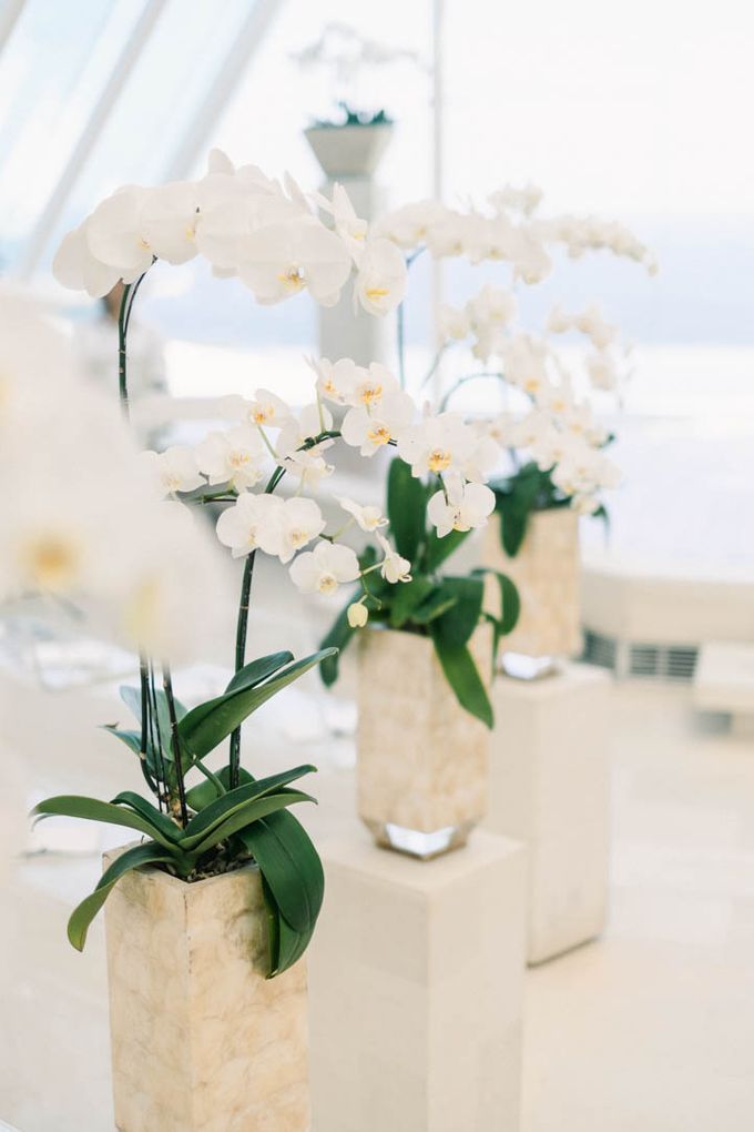 Wedding of Melissa & Timothy by Tirtha Bridal - 009 Wedding of Melissa & Timothy by Tirtha Bridal - 009