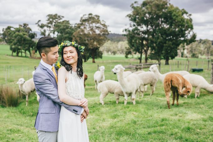Yarra Valley Prewedding of Virginia & Felix by Widfotografia - 001 Yarra Valley Prewedding of Virginia & Felix by Widfotografia - 001