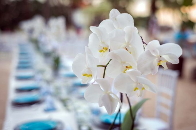 Beach Wedding at OLA Beach Club Sentosa by GrizzyPix Photography - 013